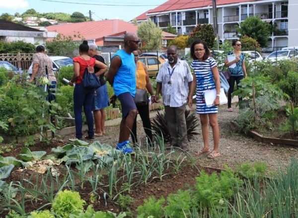 Euros Pour Des Projets De Jardins Partag S Et Dagriculture